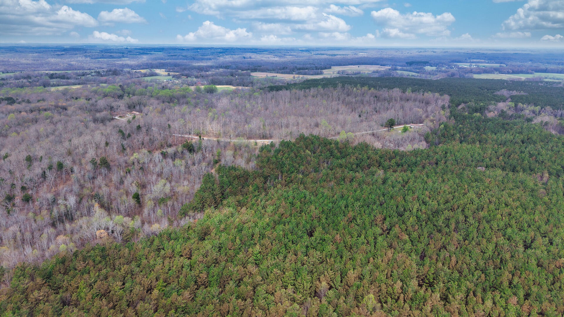 2025 Williams Grove Road Camden, TN 38320 - Photo 3 of 12