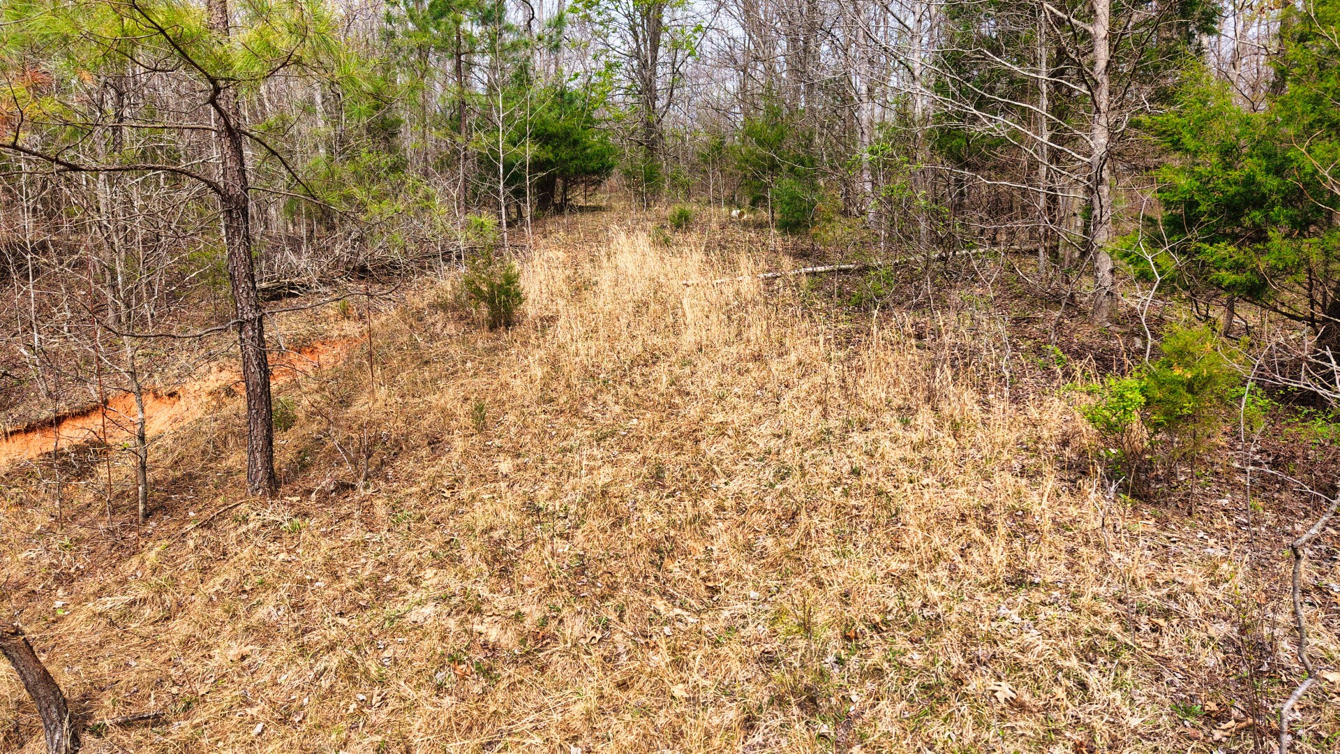 2025 Williams Grove Road Camden, TN 38320 - Photo 5 of 12