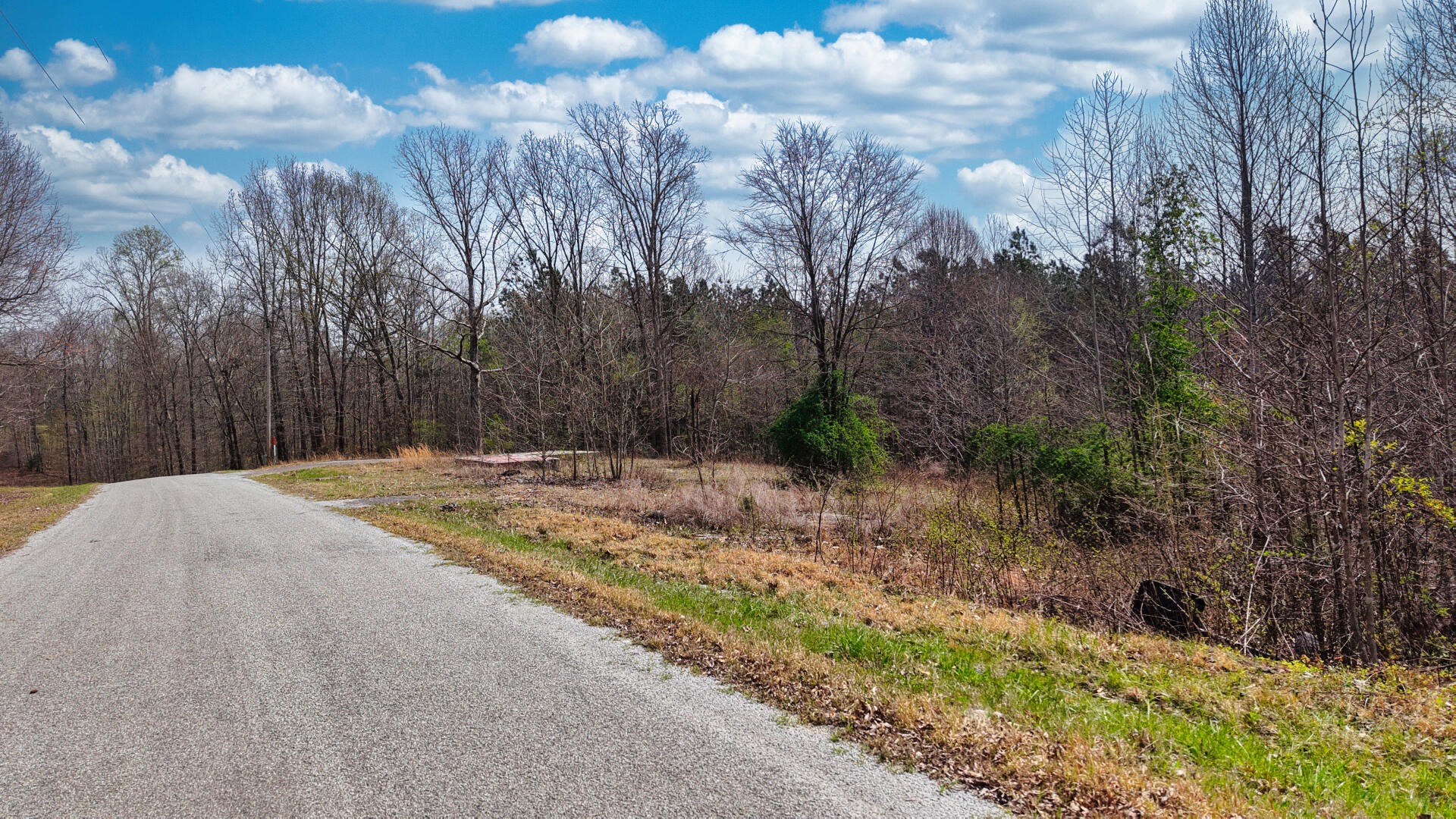 2025 Williams Grove Road Camden, TN 38320 - Photo 7 of 12