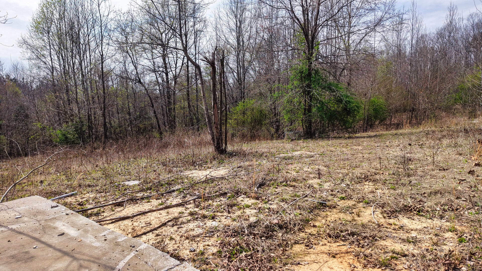 2025 Williams Grove Road Camden, TN 38320 - Photo 9 of 12