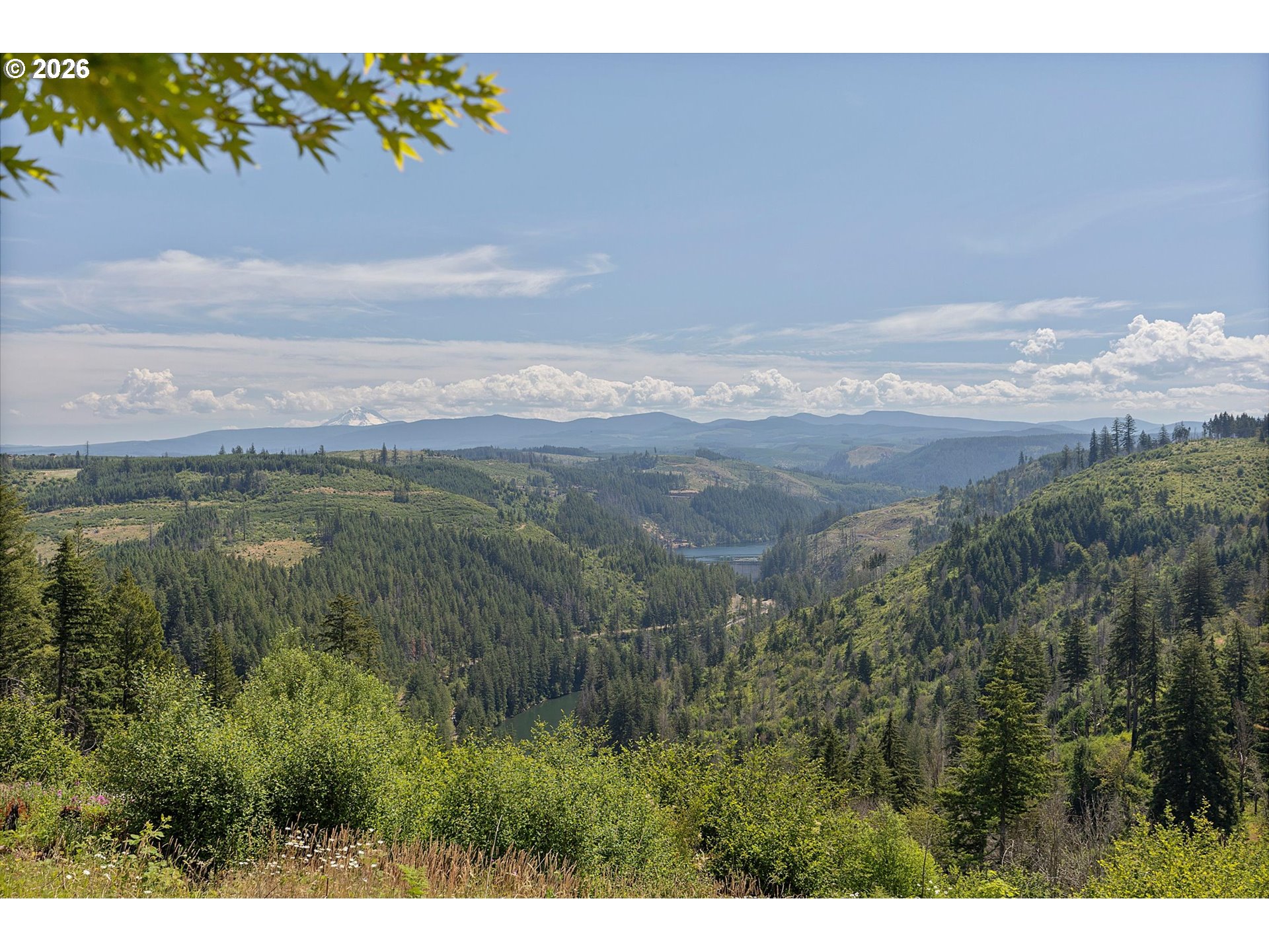26993 South Kinzy Road Estacada, OR 97023 - Photo 39 of 48