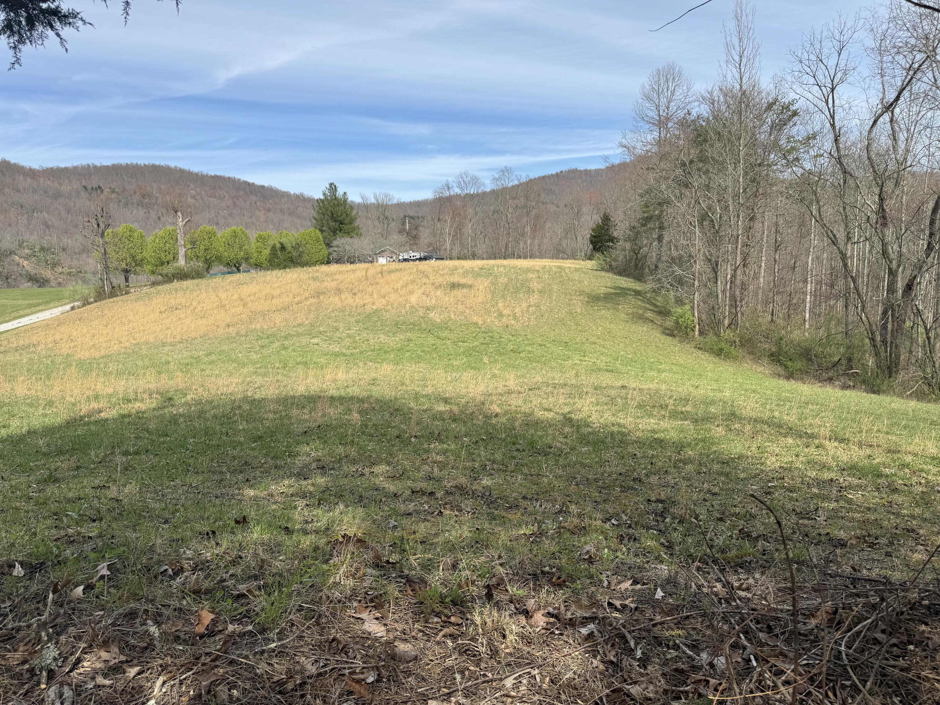 9999 Ryans Creek Road Strunk, KY 42649 - Photo 13 of 22 IMG_4006