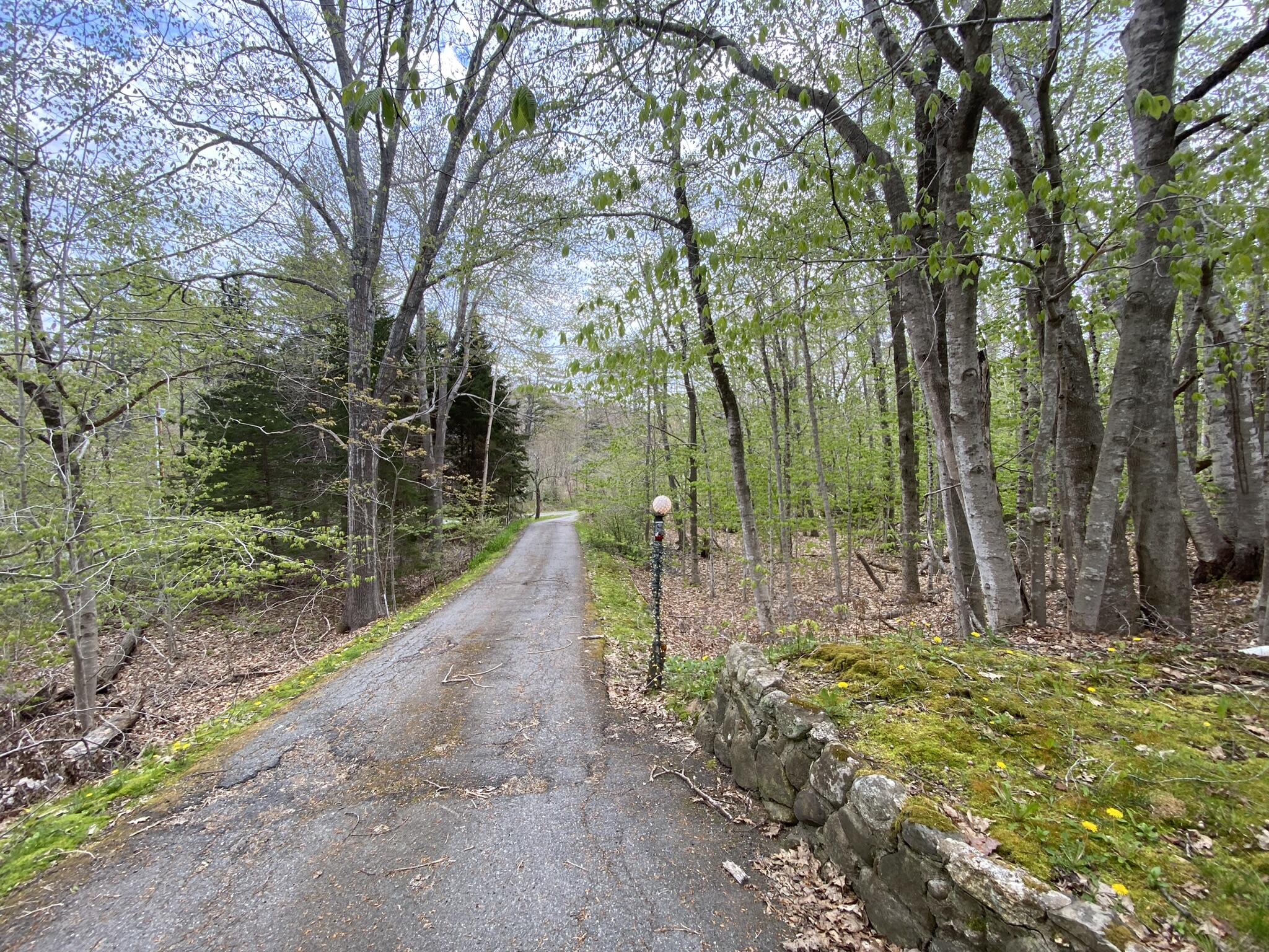 49 Sheepscot Shores Road Trevett, ME 04571 - Photo 30 of 43 IMG_7265