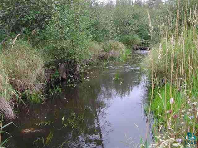 78 Devil Track Road Grand Marais, MN 55604 - Photo 8 of 9 Gallery Image 8