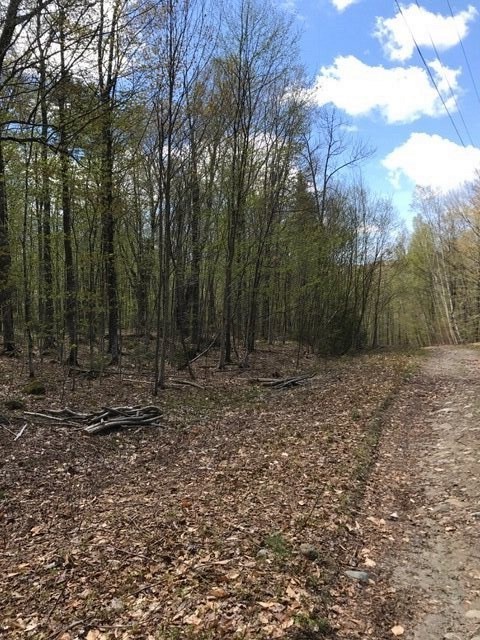 Loop Loop Drive, Unit 13 Rumney, NH 03266 - Photo 3 of 10 Gallery Image 3