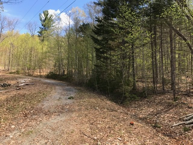 Loop Loop Drive, Unit 13 Rumney, NH 03266 - Photo 5 of 10 Gallery Image 5
