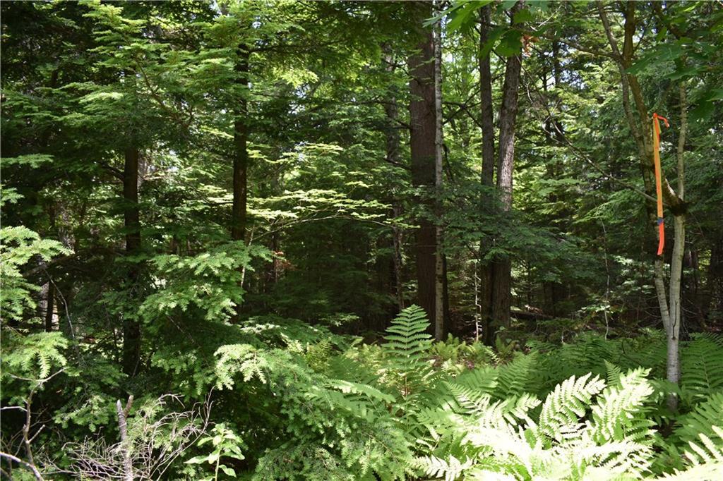 0 Hunt Road Poland, ME 04274 - Photo 2 of 4 Photo