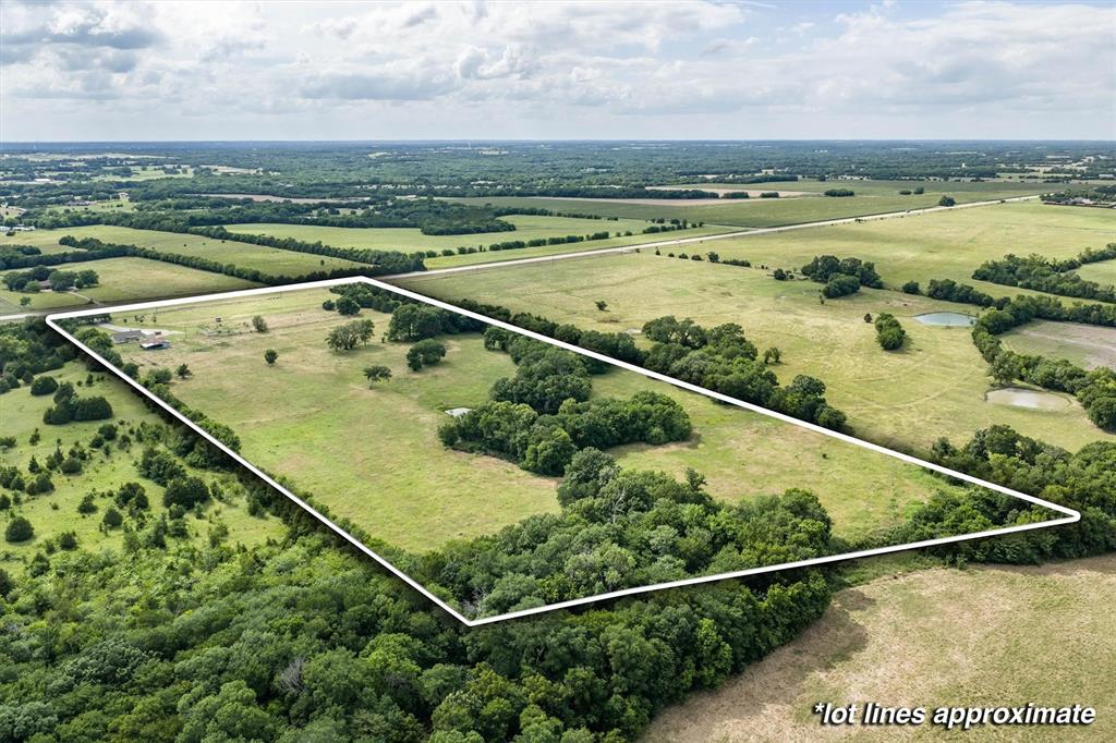13132 Highway 78 Blue Ridge, TX 75424 - Photo 35 of 35 Expansive acreage featuring a mix of open fields and mature tree clusters