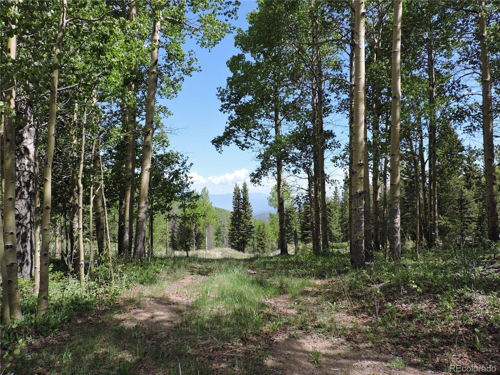 5375 Adams Road Fort Garland, CO 81133 - Photo 1 of 22 Gallery Image 1
