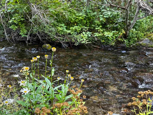 $325,000 | 4482 Council Cuprum Road, Council, ID 83612