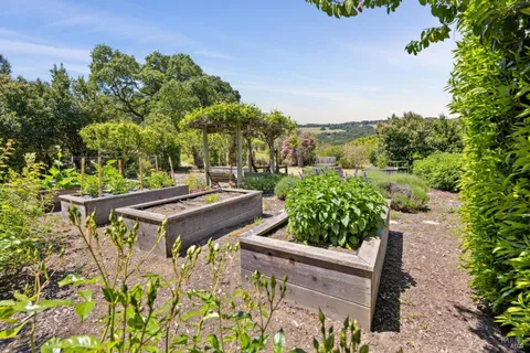 $3,485,000 | 3350 White Alder, Sonoma, CA 95476