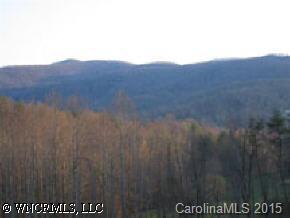Off Flat Creek Road Fairview, NC 28730 - Photo 1 of 1 Gallery Image 1