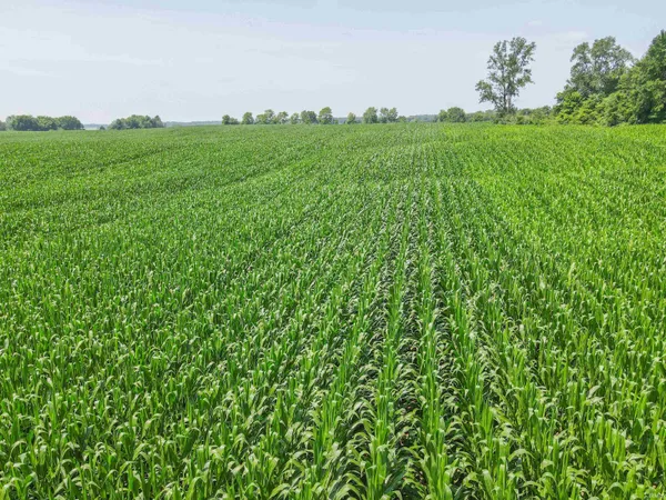 $420,000 | 9 South County Road 800 West, Modoc, IN 47358