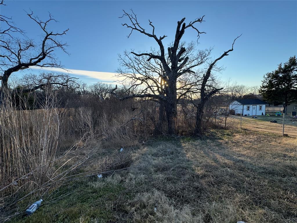 12320 Fish Road Dallas, TX 75253 - Photo 3 of 11 a view of a backyard of the house