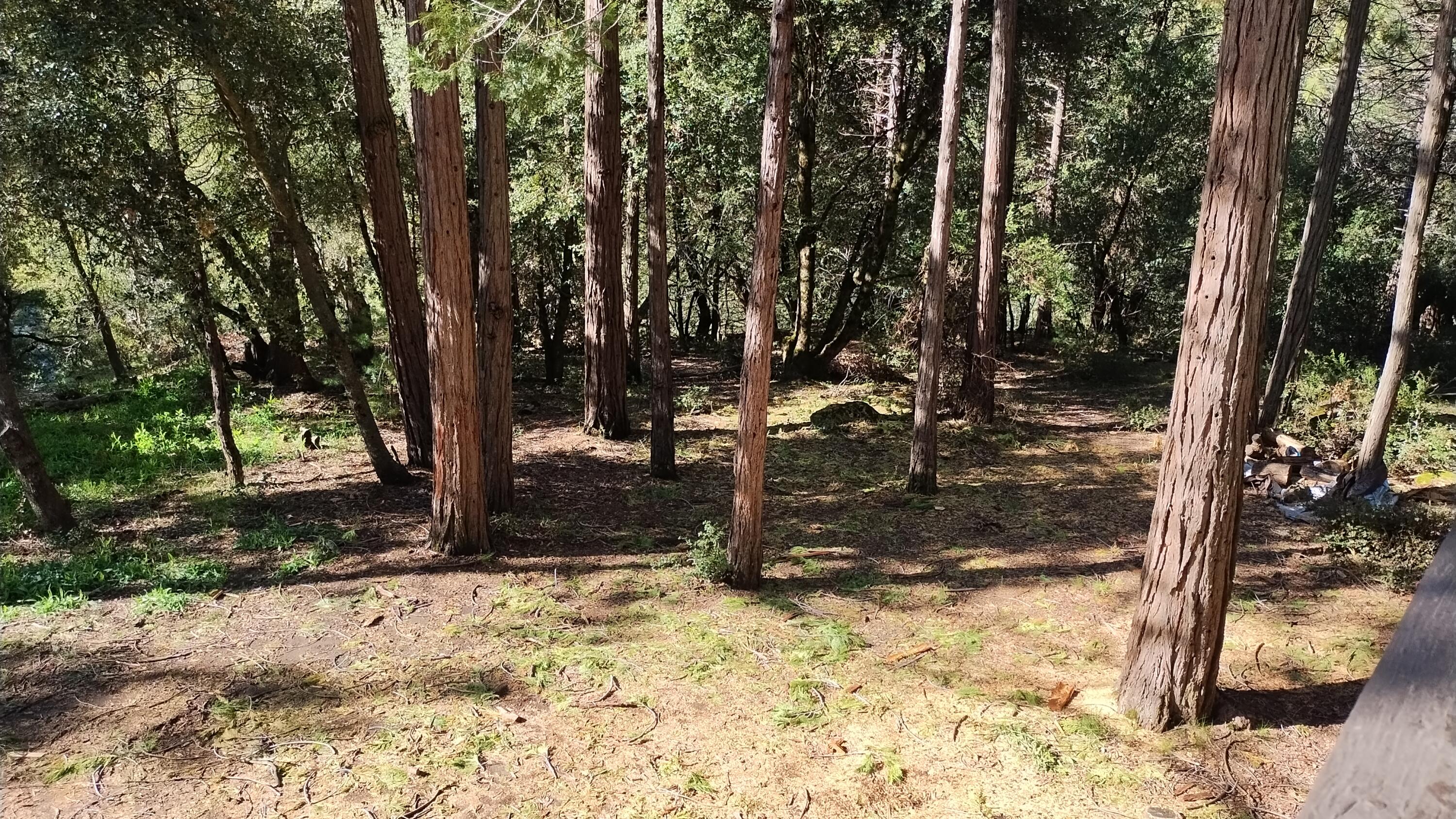 1693 Forest Rte 21S94 Camp Nelson, CA 93265 - Photo 63 of 86 55-Looking down at flat play area right