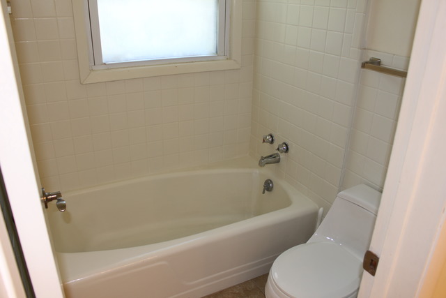 167 Elm Tree Lane Elmhurst, IL 60126 - Photo 13 of 23