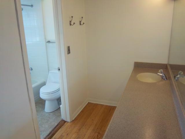 167 Elm Tree Lane Elmhurst, IL 60126 - Photo 14 of 23