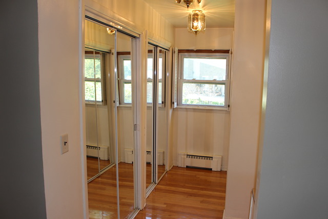 167 Elm Tree Lane Elmhurst, IL 60126 - Photo 15 of 23