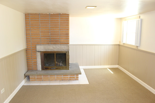 167 Elm Tree Lane Elmhurst, IL 60126 - Photo 16 of 23