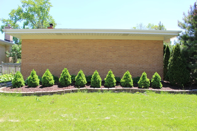 167 Elm Tree Lane Elmhurst, IL 60126 - Photo 23 of 23