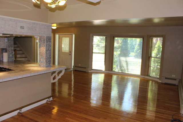 167 Elm Tree Lane Elmhurst, IL 60126 - Photo 3 of 23
