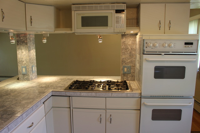 167 Elm Tree Lane Elmhurst, IL 60126 - Photo 7 of 23