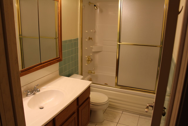 167 Elm Tree Lane Elmhurst, IL 60126 - Photo 8 of 23
