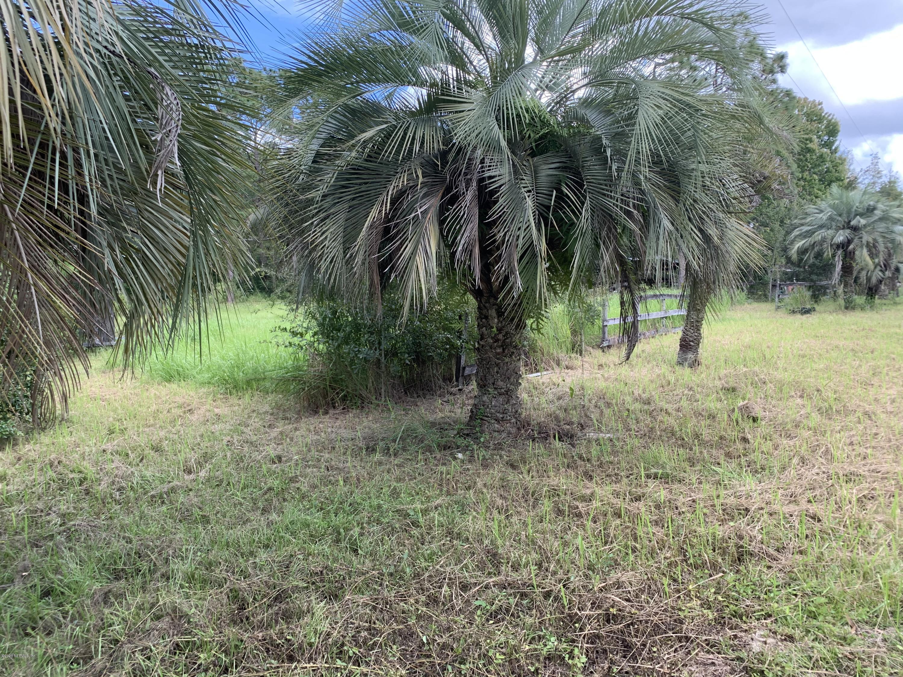 3898 Darlene Road Middleburg, FL 32068 - Photo 4 of 7 0B2CC24E-CCBA-40CB-8A30-9508F7782706
