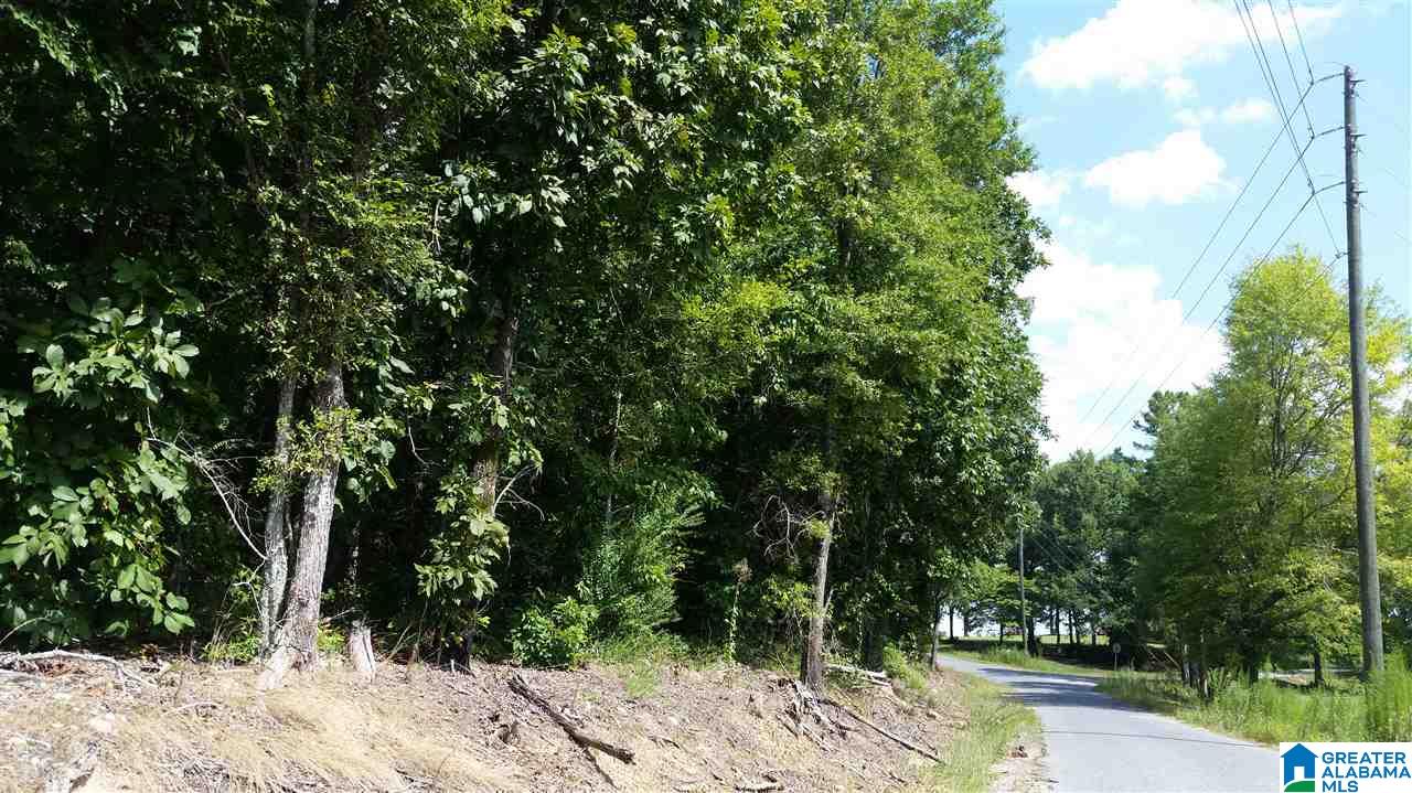 1885 Brooks Lake Road Lincoln, AL 35096 - Photo 10 of 30
