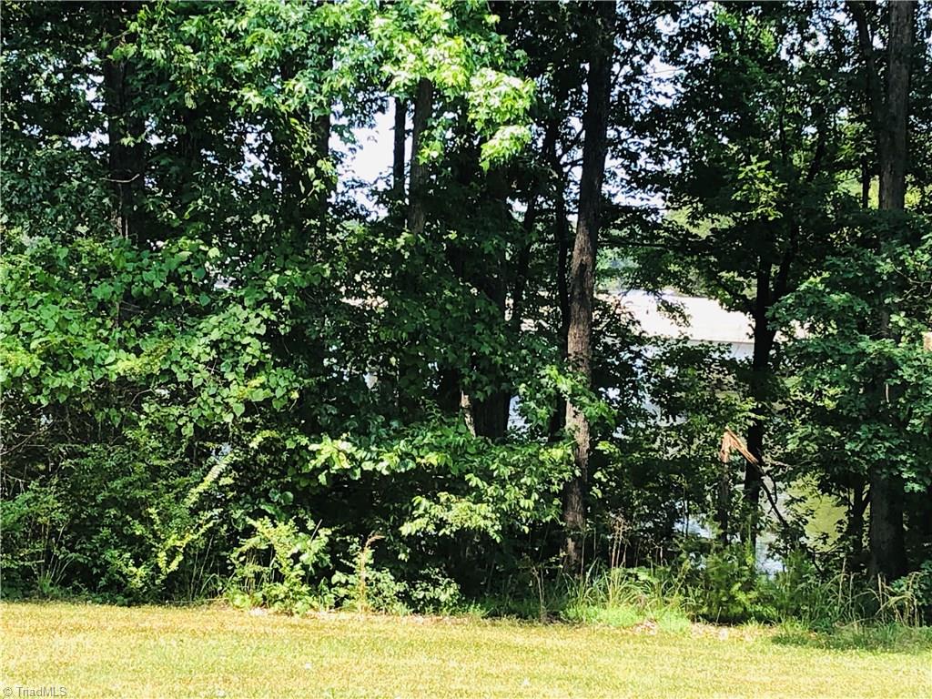 2408 Timberlake Avenue High Point, NC 27265 - Photo 14 of 14 Lake view....