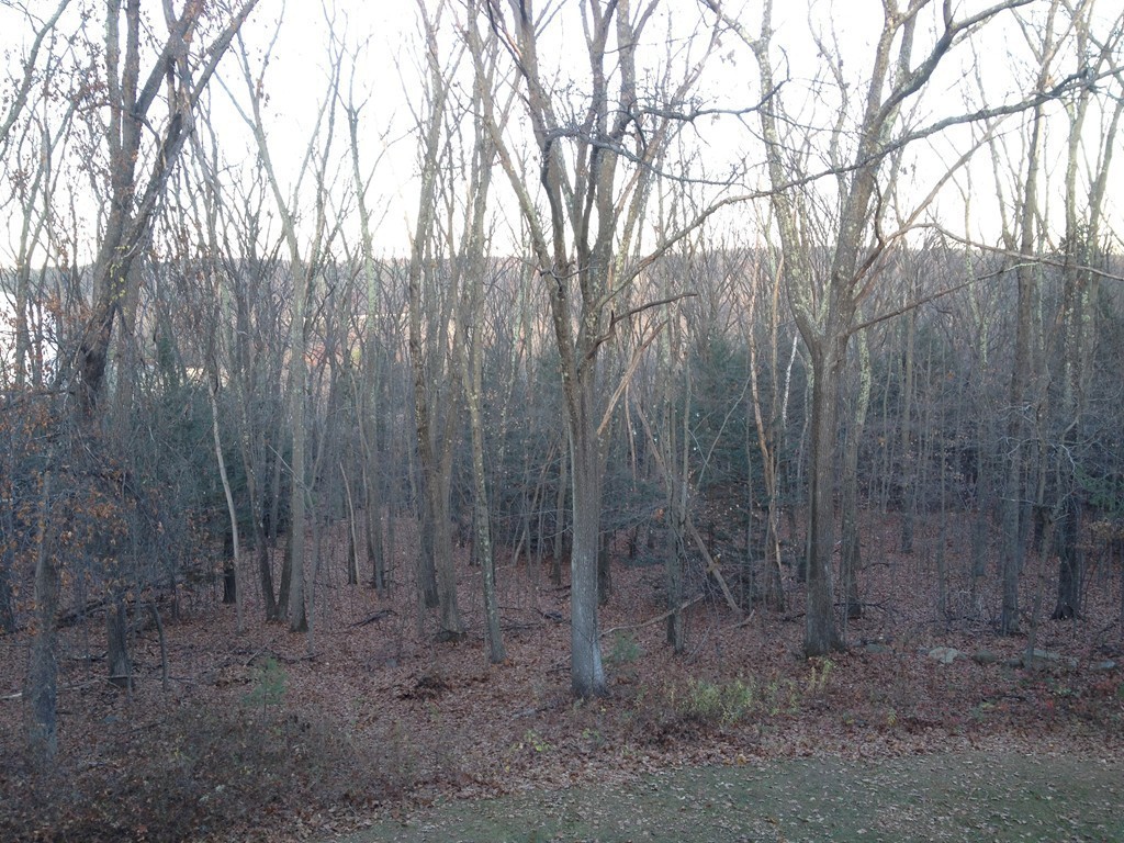 138 Mountain Road Wilbraham, MA 01095 - Photo 27 of 30 Gallery Image 27