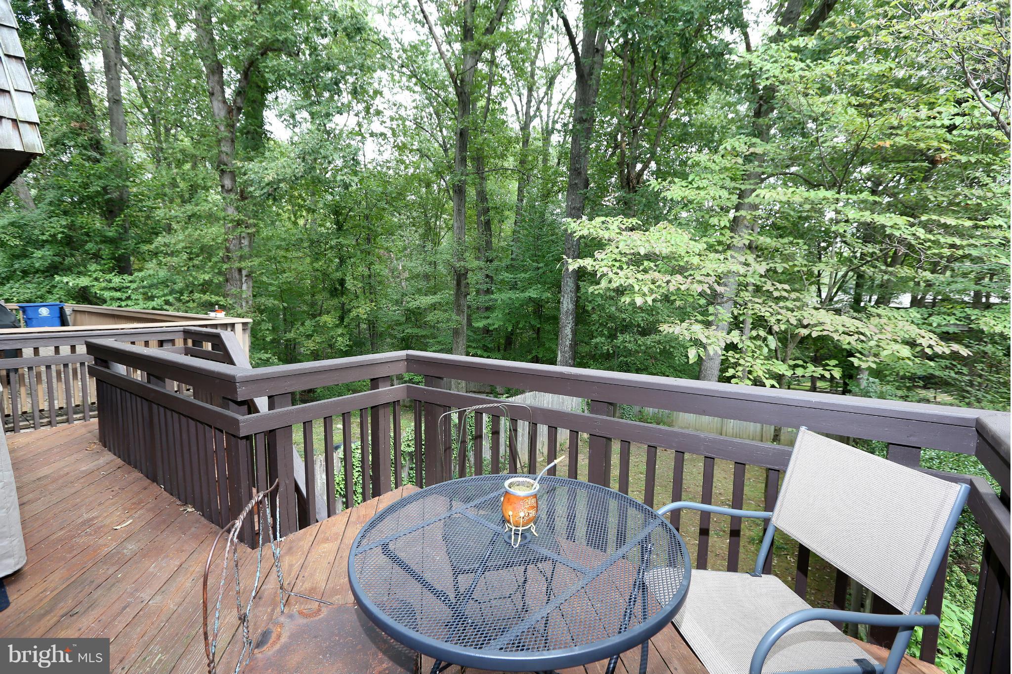 8119 Inverness Ridge Road Potomac, MD 20854 - Photo 12 of 30 Exterior (Rear)