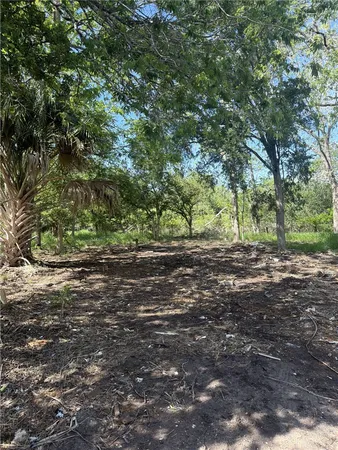 $80,000 | 6141 Garrie Beth Lane, Sandia, TX 78383