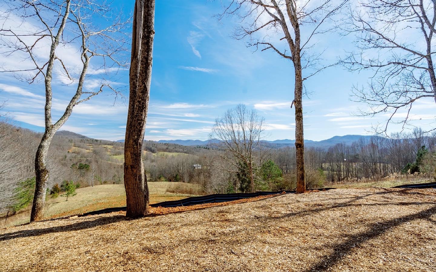Blue Berry Ridge Morganton, GA 30560 - Photo 4 of 4 Additional View