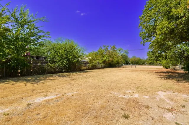 a view of a yard with red trees