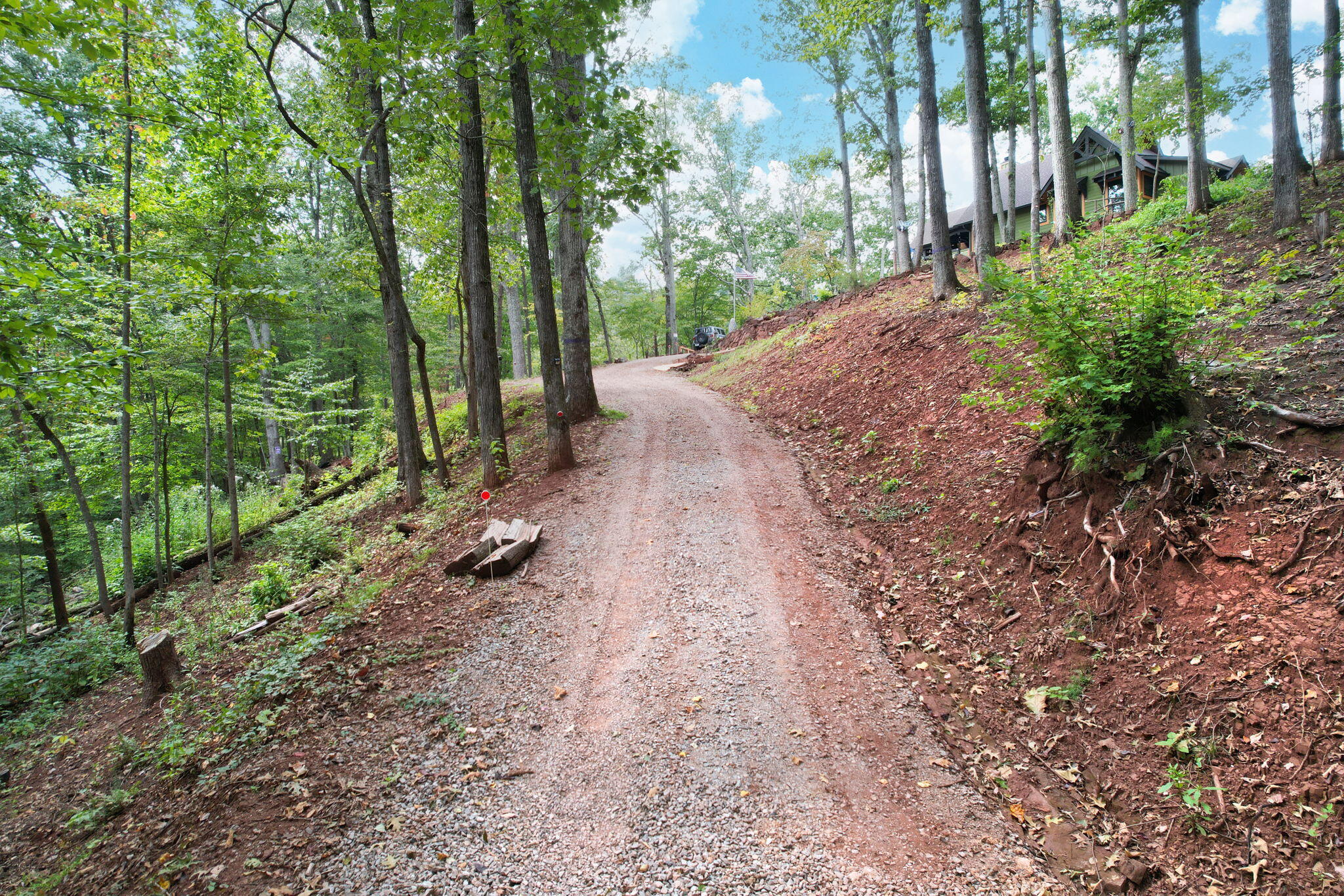 341 Acorn Gap Road Sweetwater, TN 37874 - Photo 4 of 59 4-web-or-mls-DJI_0777