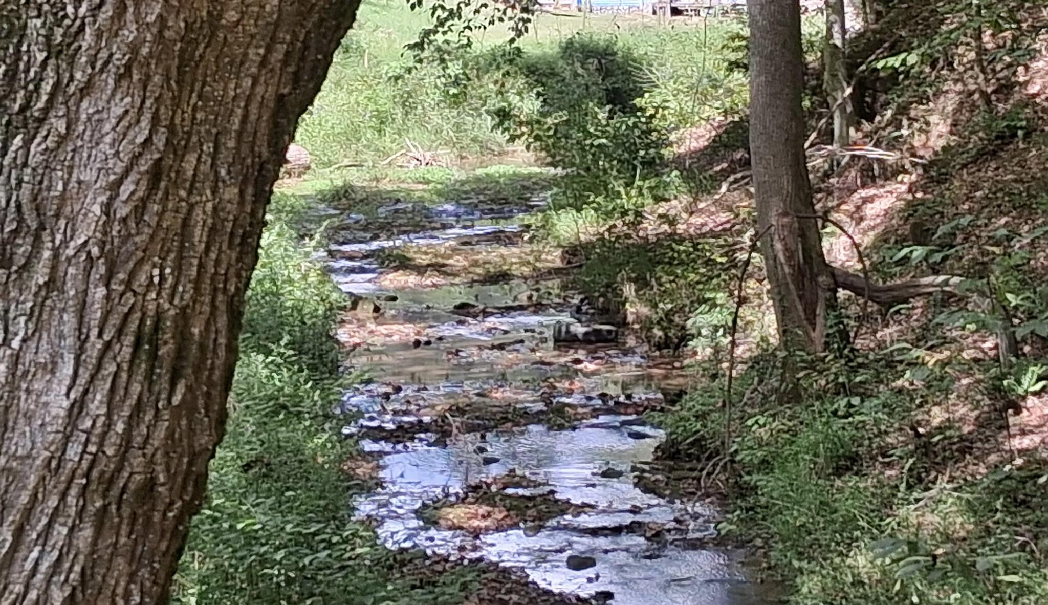 341 Acorn Gap Road Sweetwater, TN 37874 - Photo 47 of 59 creek 2