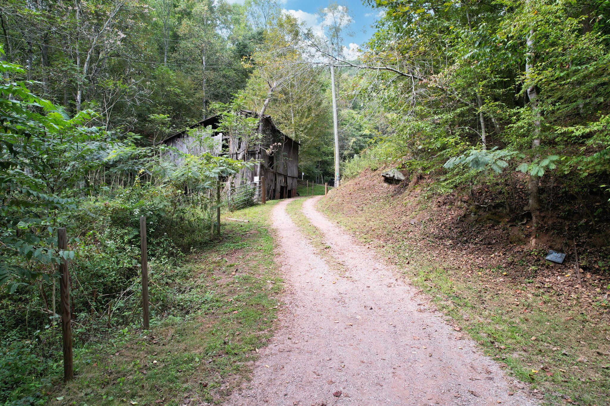 341 Acorn Gap Road Sweetwater, TN 37874 - Photo 51 of 59 26-web-or-mls-DJI_0804