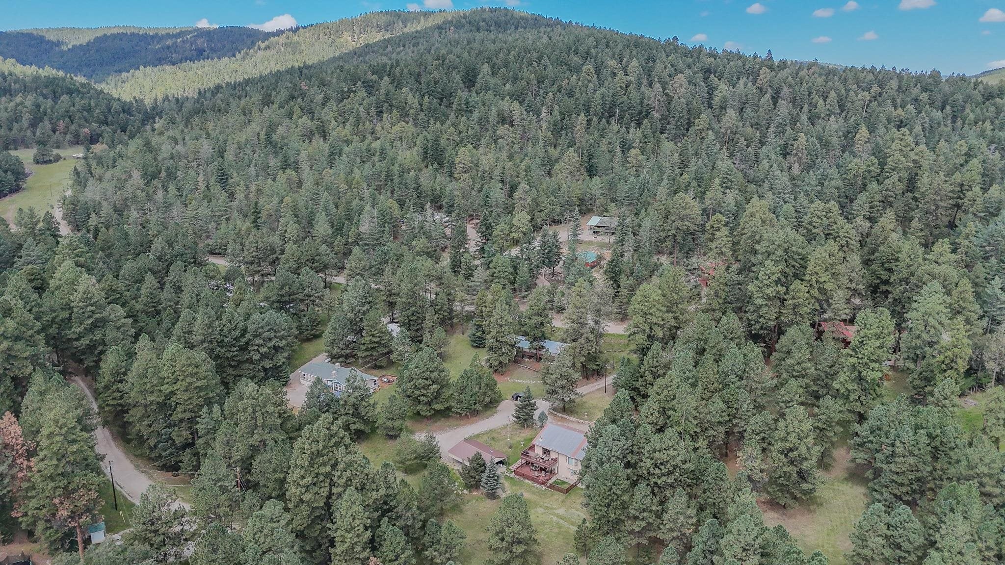 3 Allen A Dale Road Mayhill, NM 88339 - Photo 78 of 83 Gallery Image 78
