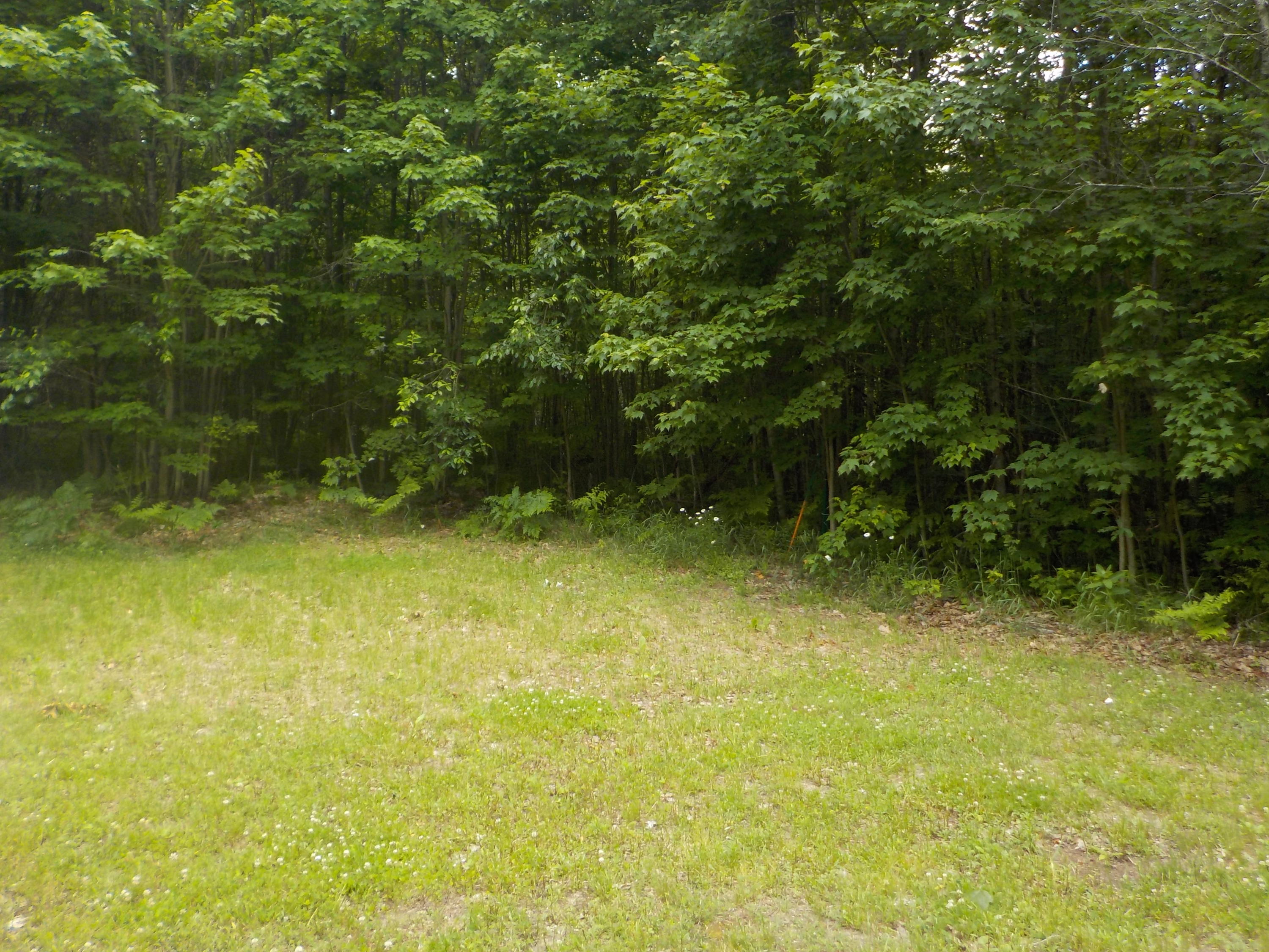 0 Goetsche Grayling, MI 49738 - Photo 9 of 13 Gallery Image 9