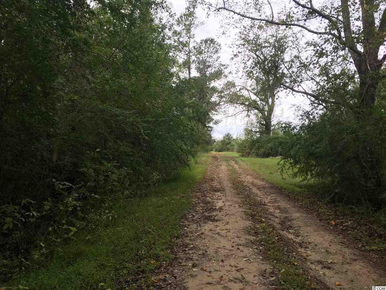 Tbd Tbd Landolphi Road Loris, SC 29569 - Photo 4 of 11 Gallery Image 4