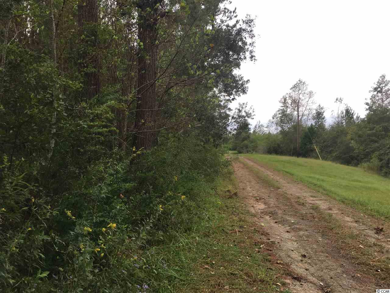 Tbd Tbd Landolphi Road Loris, SC 29569 - Photo 5 of 11 Gallery Image 5