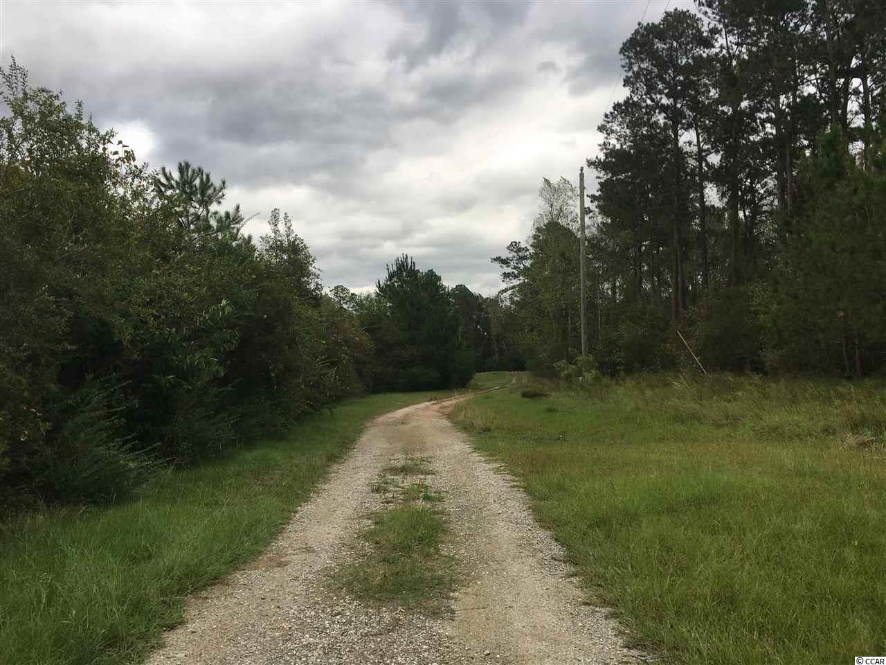 Tbd Tbd Landolphi Road Loris, SC 29569 - Photo 6 of 11 Gallery Image 6