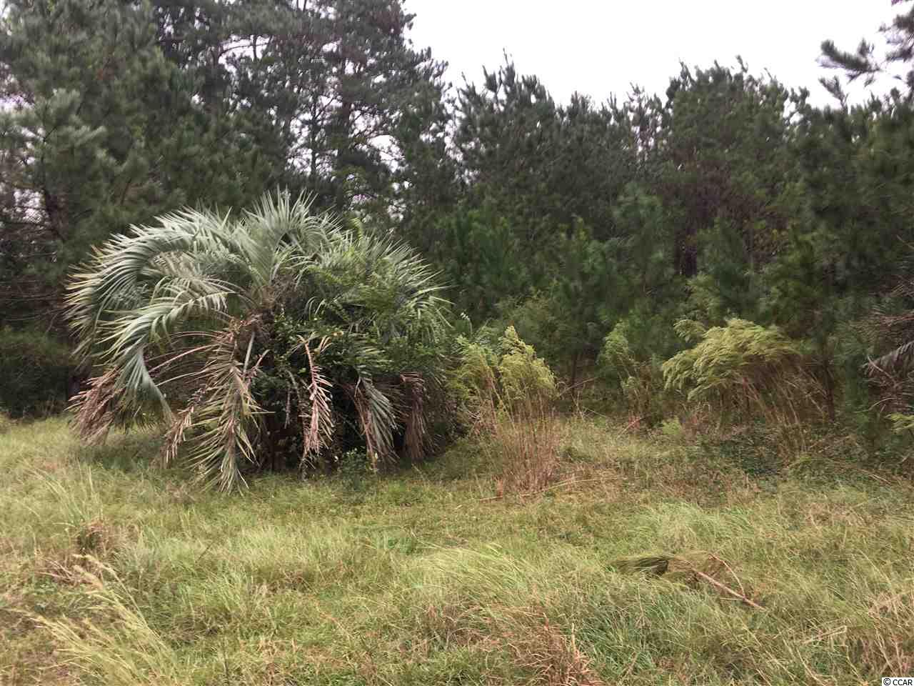 Tbd Tbd Landolphi Road Loris, SC 29569 - Photo 7 of 11 Gallery Image 7