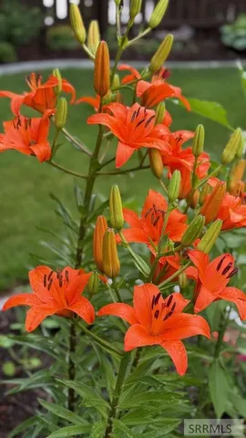 $429,000 | 1151 Mojave Street, Idaho Falls, ID 83404