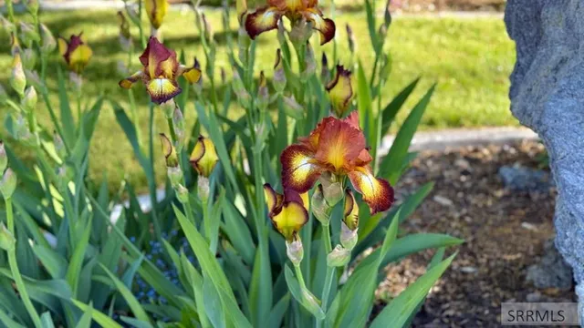 $429,000 | 1151 Mojave Street, Idaho Falls, ID 83404