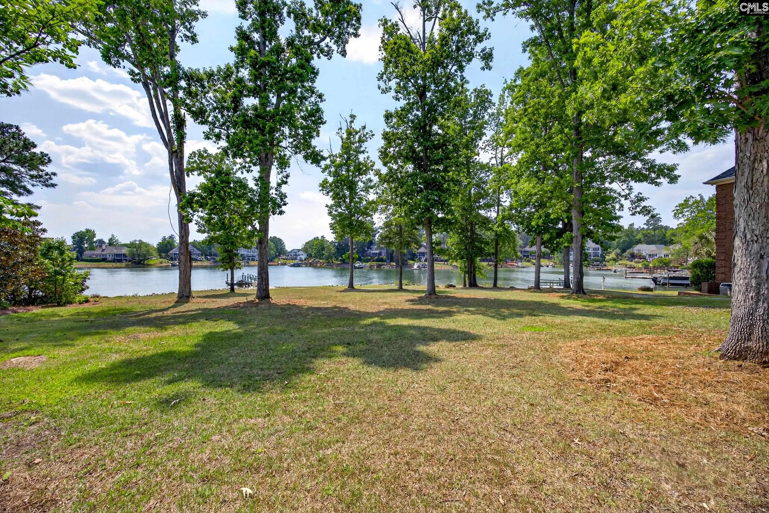 104 Turtle Pointe Court Chapin, SC 29036 - Photo 10 of 50