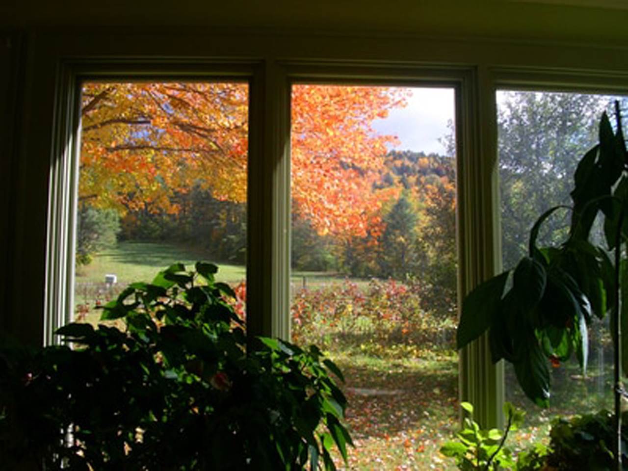 842 Grassy Brook Road Brookline, VT 05346 - Photo 11 of 25