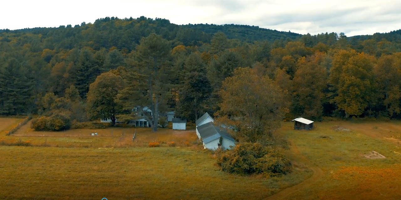 842 Grassy Brook Road Brookline, VT 05346 - Photo 21 of 25