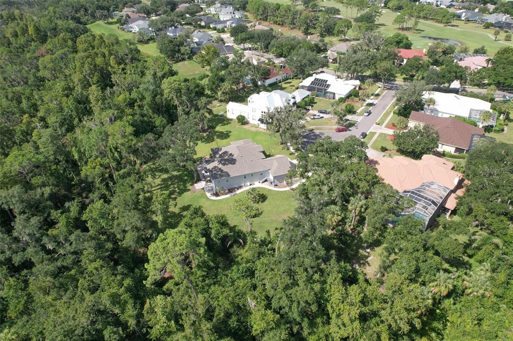 5207 Merion Road Valrico, FL 33596 - Photo 83 of 100 Gallery Image 83